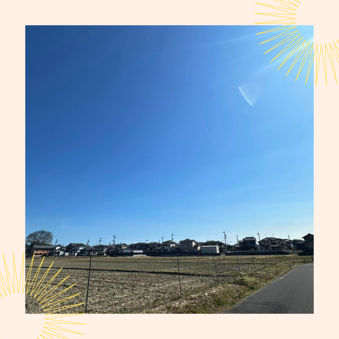 天気のいい日📷