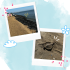 海岸清掃🧹🌊